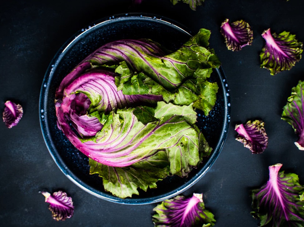 A head of brightly colored, purple and green cabbage in a bowl.